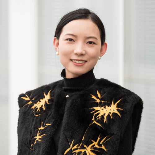 Youlan Li - University of Surrey - Overview
