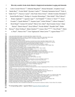 Diversity-sensitive brain clocks linked to biophysical mechanisms in aging and dementia