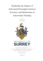 Exploring the Impact of Adversarial Examples between Accuracy and Robustness in Adversarial Training