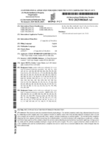 Multi-phase reactor for hydrogen production