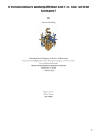 Is transdisciplinary working effective and if so, how can it be facilitated?