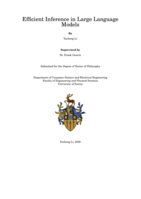 Efficient Inference in Large Language Models