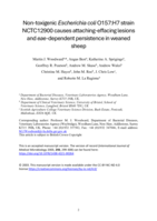 Non-toxigenic Escherichia coli O157:H7 strain NCTC12900 causes attaching-effacing lesions and eae-dependent persistence in weaned sheep