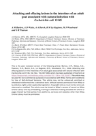 Attaching and effacing lesions in the intestines of an adult goat associated with natural infection with Escherichia coli O145