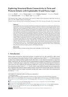 Exploring Structural Brain Connectivity in Term and Preterm Infants with Explainable AI and Fuzzy Logic