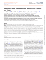 Salmonella in the slaughter sheep population in England and Wales