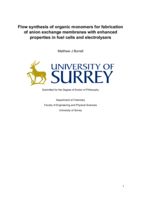 Flow synthesis of organic monomers for fabrication  of anion exchange membranes with enhanced  properties in fuel cells and electrolysers