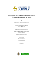 Susceptibility of Bridge Structures to Extreme Hydraulic Actions