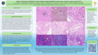 RENAL HISTOLOGIC FINDINGS IN AGED AFRICAN GREEN MONKEYS (Chlorocebus aethiops sabaeus) IN ST KITTS
