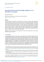 Strategic Business and Human Rights Litigation: It Is a Marathon, not a Sprint