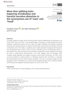 More than splitting hairs: Exploring trivialisation and harmful narrative distortion in the synonymous use of ‘scam’ and ‘fraud’