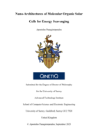 Nano-Architectures of Molecular Organic Solar Cells for Energy Scavenging