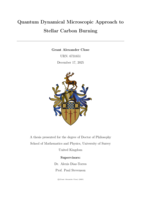 Quantum Dynamical Microscopic Approach to Stellar Carbon Burning