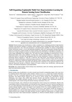 Self-Organising Explainable Multi-View Representation Learning for Remote Sensing Scene Classification