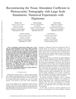 Reconstructing the Tissue Absorption Coefficient in Photoacoustic Tomography with Large Scale Simulations: Numerical Experiments with Digimouse