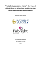 “Not all viruses come alone” - the impact of Orbivirus co-infections on bluetongue virus reassortment and diversity