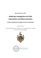 Multiscale Investigations into DNA Intercalation and Misincorporation