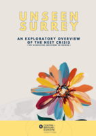 Unseen Surrey: An Exploratory Overview of the NEET Crisis