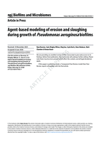 Agent-based modeling of erosion and sloughing during growth of Pseudomonas aeruginosa biofilms
