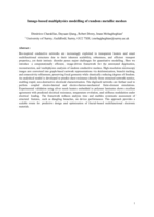 Image-based multiphysics modelling of random metallic meshes