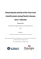 Dissecting the activity of the virion host shutoff protein during Marek's disease virus 1 infection