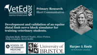 Development and validation of an equine distal limb nerve block simulator for training veterinary students