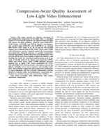 Compression-Aware Quality Assessment of Low-Light Video Enhancement