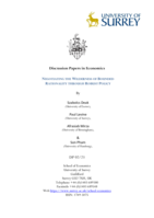 NEGOTIATING THE WILDERNESS OF BOUNDED RATIONALITY THROUGH ROBUST POLICY
