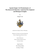 Spatial Single-Cell Metabolomics of Mycobacterial  Infection: Analytical Development and Biological Insights