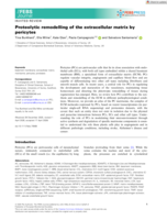 Proteolytic remodelling of the extracellular matrix by pericytes