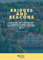 Bridges and Beacons: State of the Voluntary, Charity, and Social Enterprise (VCSE) Sector: Interim Report