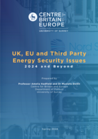 UK, EU and Third Party Energy Security Issues: 2024 and Beyond