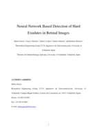 Neural network based detection of hard exudates in retinal images