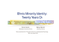 Ethnic minority identity: Twenty years on