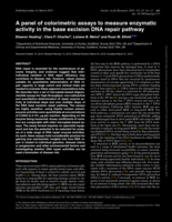 A panel of colorimetric assays to measure enzymatic activity in the base excision DNA repair pathway