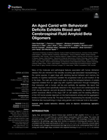 An aged canid with behavioural deficits exhibits blood and cerebrospinal fluid amyloid beta oligomers