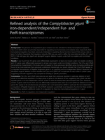 Refined analysis of the Campylobacter jejuni iron-dependent/independent Fur- and PerR-transcriptomes