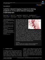 Label-free volumetric imaging of conjunctival collecting lymphatics ex vivo by optical coherence tomography lymphangiography