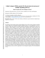 Cullin-5 Adaptor SPSB1 Controls NF-?B Activation Downstream of Multiple Signaling Pathways