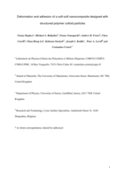 Deformation and adhesion of a periodic soft-soft nanocomposite designed with structured polymer colloid particles