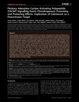 Pituitary Adenylate Cyclase Activating Polypeptide (PACAP) Signalling Exerts Chondrogenesis Promoting and Protecting Effects: Implication of Calcineurin as a Downstream Target