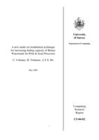 A new multi-set modulation technique for increasing hiding capacity of binary watermark for print and scan processes