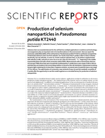 Production of selenium nanoparticles in Pseudomonas putida KT2440