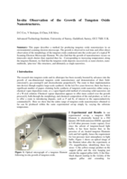In situ Observation of the Growth of Tungsten Oxide Nanostructures