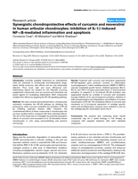 Synergistic chondroprotective effects of curcumin and resveratrol in human articular chondrocytes: inhibition of IL-1beta-induced NF-kappaB-mediated inflammation and apoptosis.