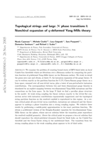 Topological strings and large N phase transitions I: Nonchiral expansion of q-deformed Yang-Mills theory