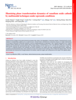 Illumining phase transformation dynamics of vanadium oxide cathode by multimodal techniques under operando conditions