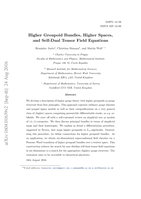 Higher Groupoid Bundles, Higher Spaces, and Self-Dual Tensor Field Equations