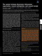 The ventral striatum dissociates information expectation, reward anticipation, and reward receipt