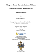 The growth and characterization of Silicon Nanowires/Carbon Nanotubes for heterojunctions